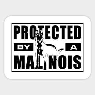 Malinois  - Belgian shepherd - Mechelaar Sticker